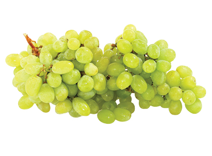 Žaliosios besėklės vynuogės
