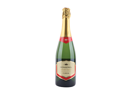 Putojantis sausas vynas MONISTROL SELECCION ESPECIAL BRUT