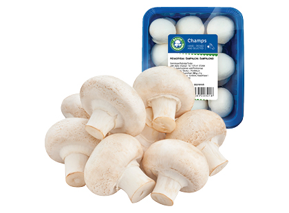 Pievagrybiai BALTIC CHAMPIGNONS*