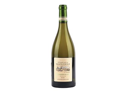 Baltasis sausas vynas DOMAINE SAINTE CECILE SAUVIGNON su SGN