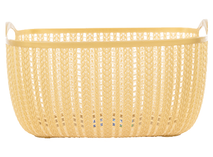 Plastikinė daiktadėžė HOME EXPERT*