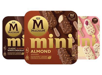 Valgomieji ledai MAGNUM MIX MINI*