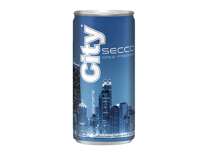 Pusiau putojantis vynas CITY SECCO WHITE FRIZZANTE