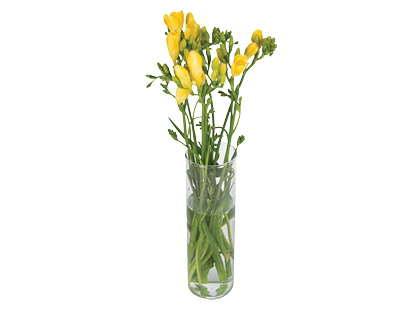 Frezijų puokštė*, 50 cm