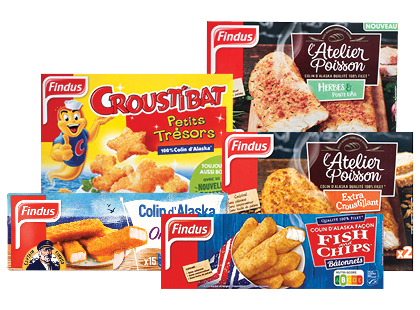 Šaldytiems žuvies pusgaminiams FINDUS*