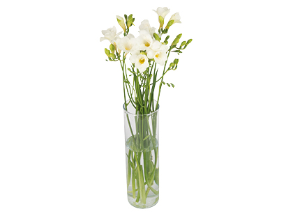 Frezijų puokštė*, 50 cm