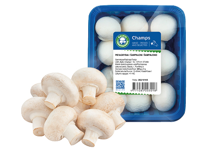Pievagrybiai BALTIC CHAMPIGNONS