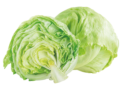 Gūžinės salotos ICEBERG