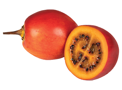 Basovija TAMARILLO*