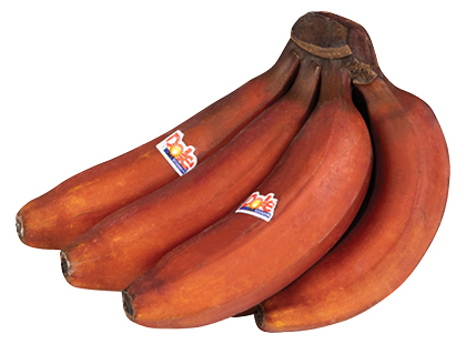 Raudonieji bananai*