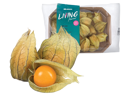 Dumplūnės*